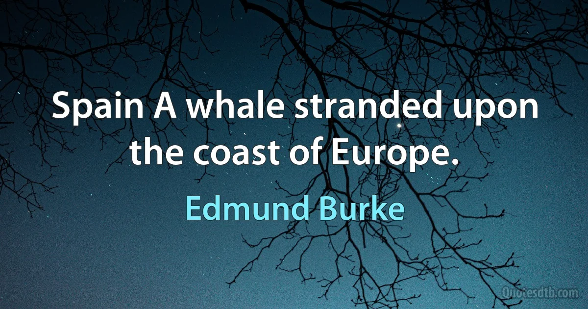 Spain A whale stranded upon the coast of Europe. (Edmund Burke)