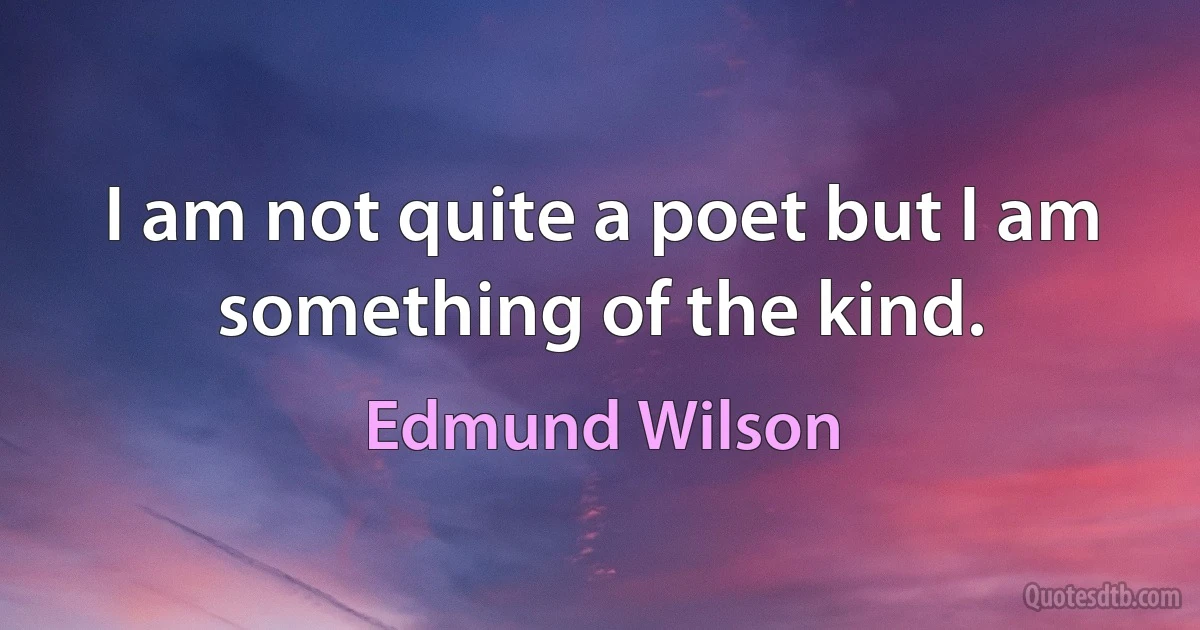 I am not quite a poet but I am something of the kind. (Edmund Wilson)