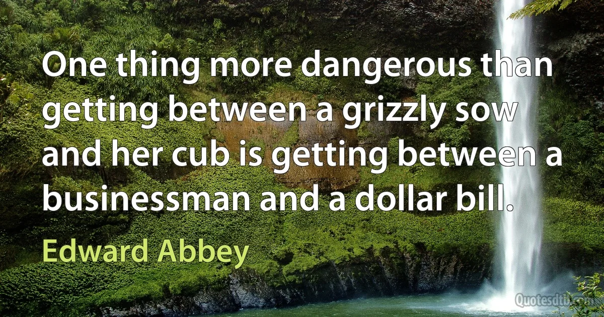 One thing more dangerous than getting between a grizzly sow and her cub is getting between a businessman and a dollar bill. (Edward Abbey)