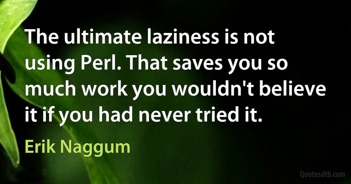 The ultimate laziness is not using Perl. That saves you so much work you wouldn't believe it if you had never tried it. (Erik Naggum)