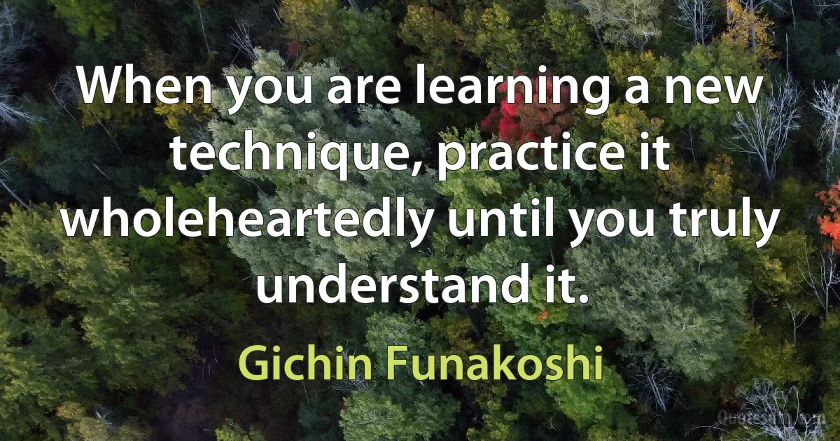 When you are learning a new technique, practice it wholeheartedly until you truly understand it. (Gichin Funakoshi)