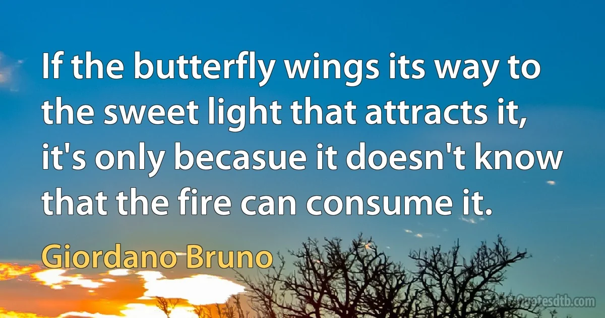 If the butterfly wings its way to the sweet light that attracts it, it's only becasue it doesn't know that the fire can consume it. (Giordano Bruno)