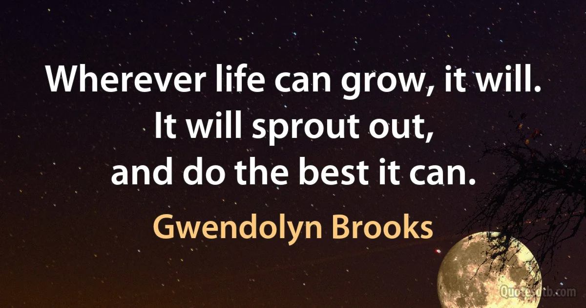 Wherever life can grow, it will.
It will sprout out,
and do the best it can. (Gwendolyn Brooks)