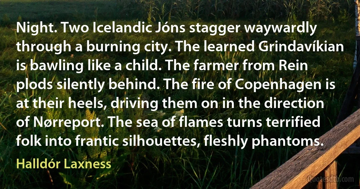 Night. Two Icelandic Jóns stagger waywardly through a burning city. The learned Grindavíkian is bawling like a child. The farmer from Rein plods silently behind. The fire of Copenhagen is at their heels, driving them on in the direction of Nørreport. The sea of flames turns terrified folk into frantic silhouettes, fleshly phantoms. (Halldór Laxness)