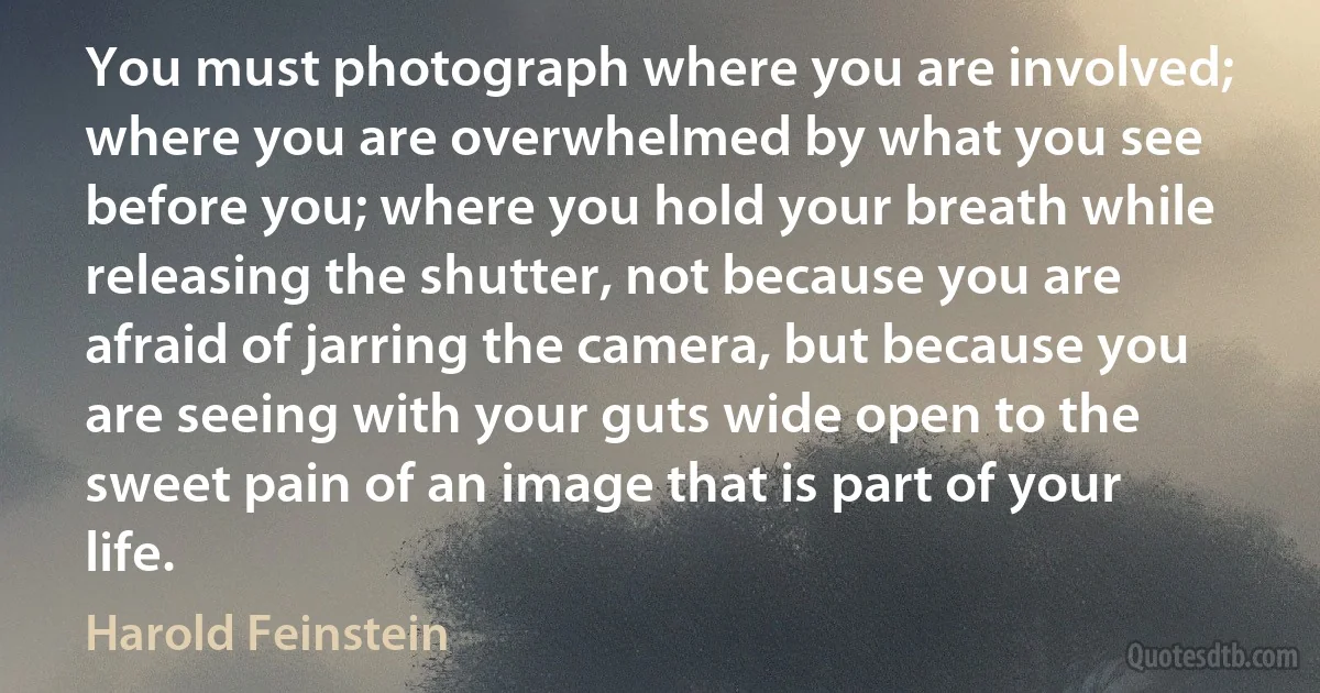 You must photograph where you are involved; where you are overwhelmed by what you see before you; where you hold your breath while releasing the shutter, not because you are afraid of jarring the camera, but because you are seeing with your guts wide open to the sweet pain of an image that is part of your life. (Harold Feinstein)