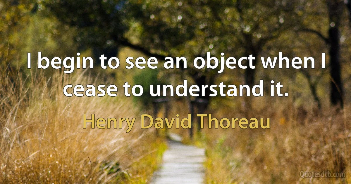 I begin to see an object when I cease to understand it. (Henry David Thoreau)