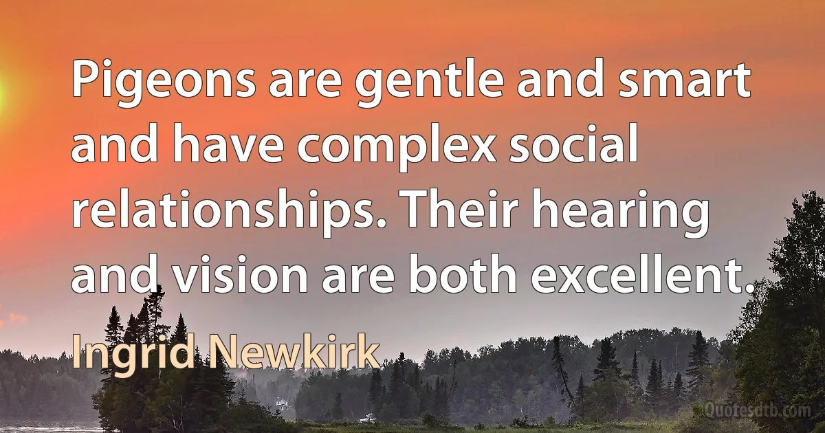 Pigeons are gentle and smart and have complex social relationships. Their hearing and vision are both excellent. (Ingrid Newkirk)