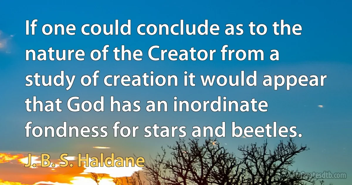 If one could conclude as to the nature of the Creator from a study of creation it would appear that God has an inordinate fondness for stars and beetles. (J. B. S. Haldane)