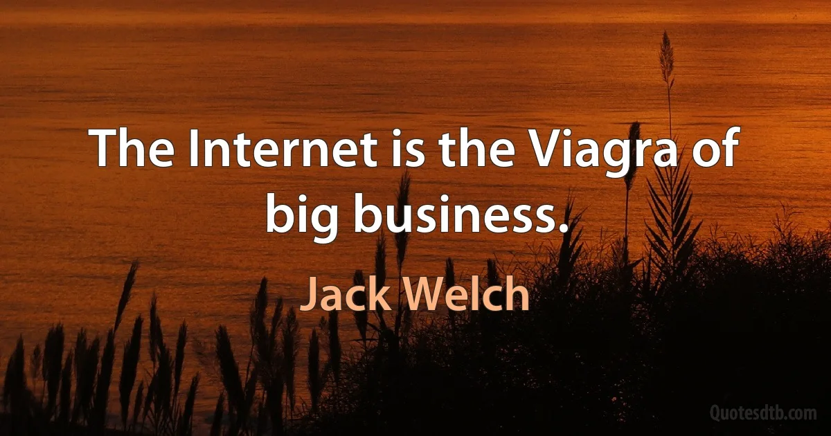 The Internet is the Viagra of big business. (Jack Welch)