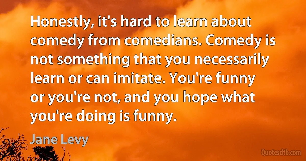 Honestly, it's hard to learn about comedy from comedians. Comedy is not something that you necessarily learn or can imitate. You're funny or you're not, and you hope what you're doing is funny. (Jane Levy)