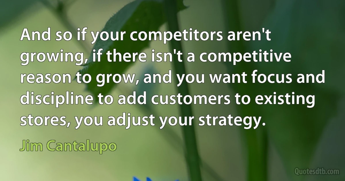 And so if your competitors aren't growing, if there isn't a competitive reason to grow, and you want focus and discipline to add customers to existing stores, you adjust your strategy. (Jim Cantalupo)