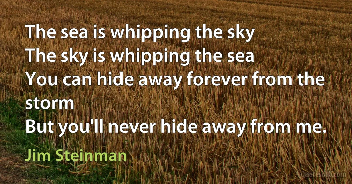 The sea is whipping the sky
The sky is whipping the sea
You can hide away forever from the storm
But you'll never hide away from me. (Jim Steinman)