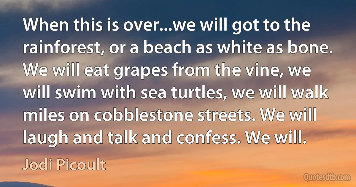 When this is over...we will got to the rainforest, or a beach as white as bone. We will eat grapes from the vine, we will swim with sea turtles, we will walk miles on cobblestone streets. We will laugh and talk and confess. We will. (Jodi Picoult)