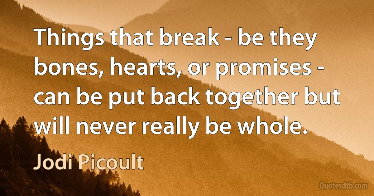 Things that break - be they bones, hearts, or promises - can be put back together but will never really be whole. (Jodi Picoult)