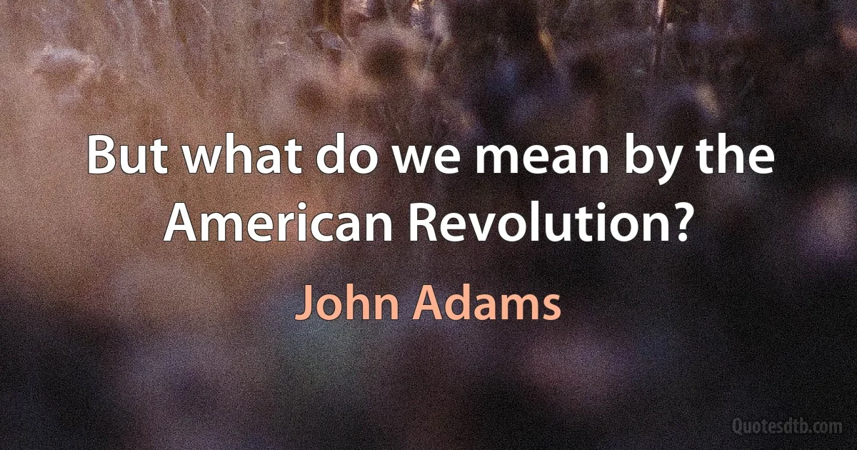 But what do we mean by the American Revolution? (John Adams)