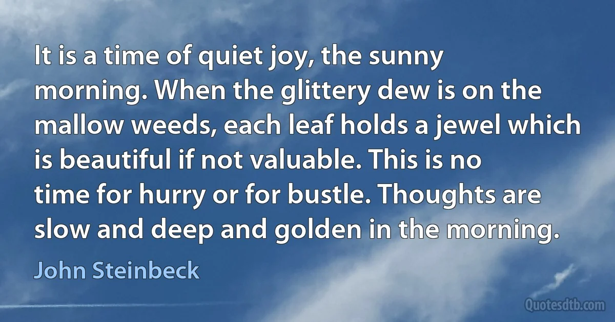 It is a time of quiet joy, the sunny morning. When the glittery dew is on the mallow weeds, each leaf holds a jewel which is beautiful if not valuable. This is no time for hurry or for bustle. Thoughts are slow and deep and golden in the morning. (John Steinbeck)