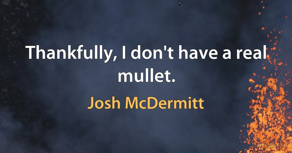 Thankfully, I don't have a real mullet. (Josh McDermitt)