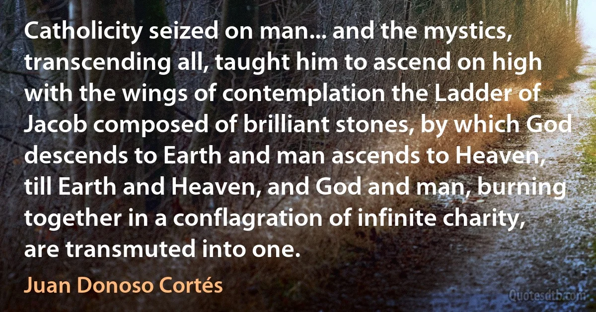 Catholicity seized on man... and the mystics, transcending all, taught him to ascend on high with the wings of contemplation the Ladder of Jacob composed of brilliant stones, by which God descends to Earth and man ascends to Heaven, till Earth and Heaven, and God and man, burning together in a conflagration of infinite charity, are transmuted into one. (Juan Donoso Cortés)