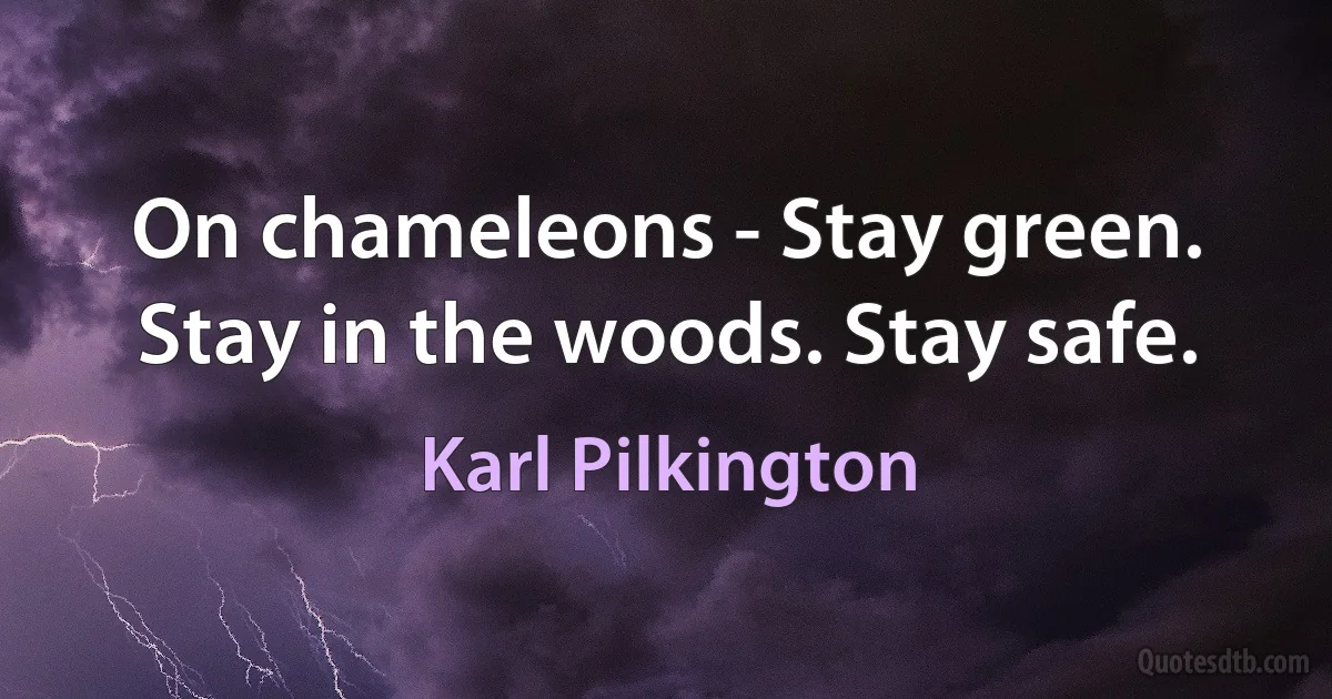 On chameleons - Stay green. Stay in the woods. Stay safe. (Karl Pilkington)