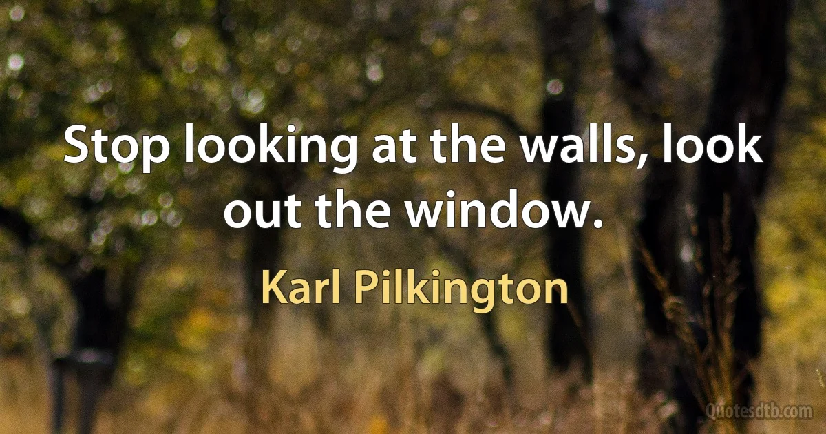 Stop looking at the walls, look out the window. (Karl Pilkington)