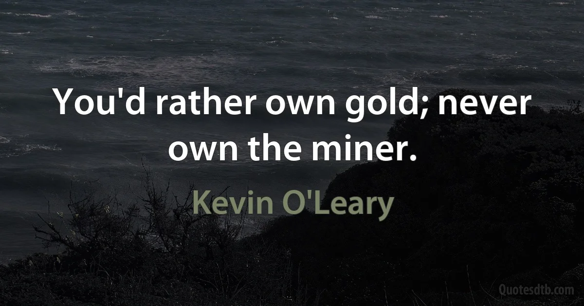 You'd rather own gold; never own the miner. (Kevin O'Leary)