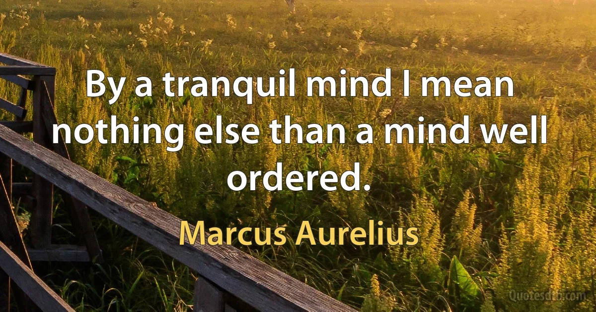 By a tranquil mind I mean nothing else than a mind well ordered. (Marcus Aurelius)