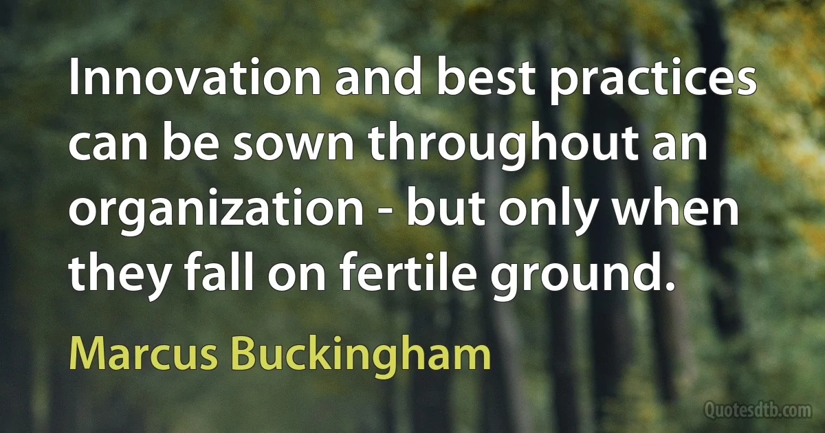 Innovation and best practices can be sown throughout an organization - but only when they fall on fertile ground. (Marcus Buckingham)