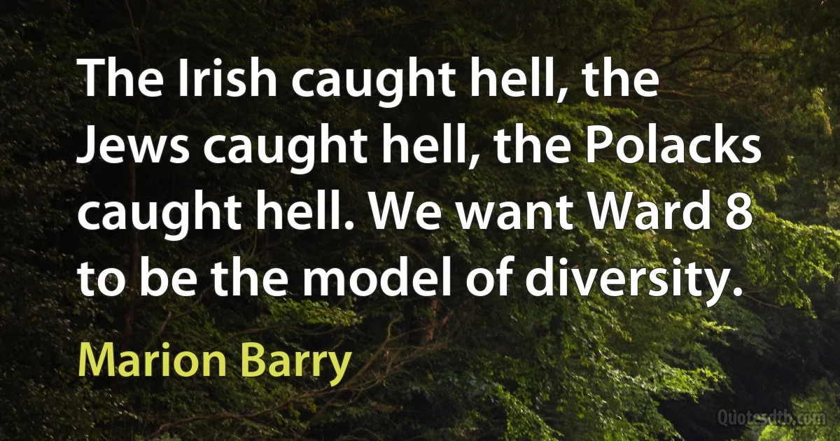 The Irish caught hell, the Jews caught hell, the Polacks caught hell. We want Ward 8 to be the model of diversity. (Marion Barry)