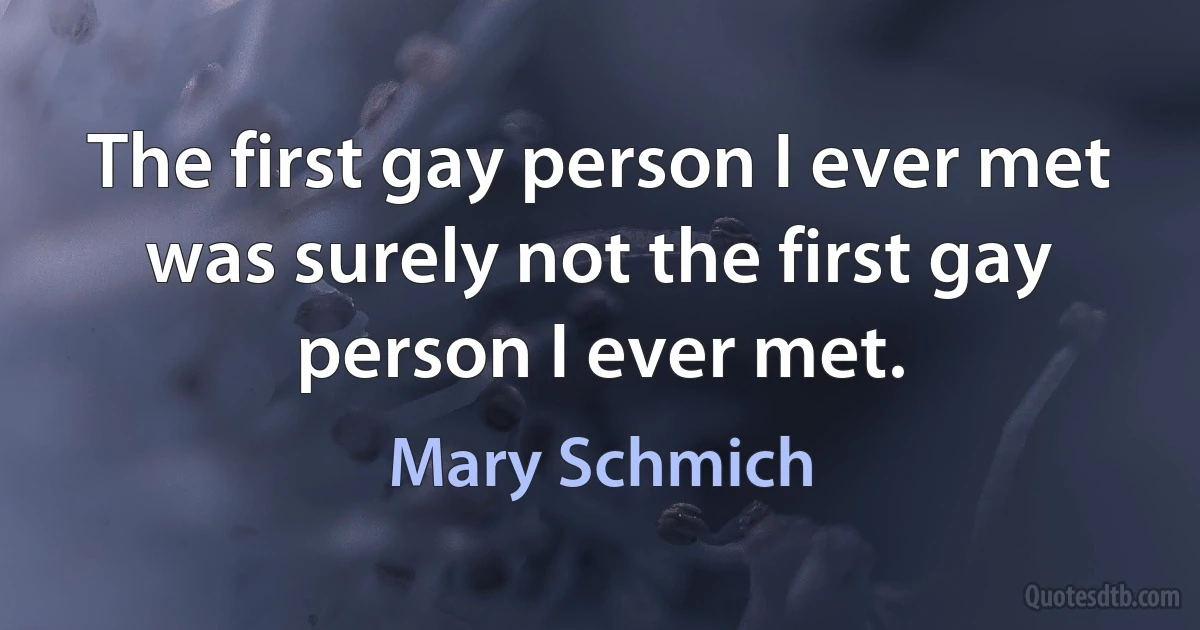 The first gay person I ever met was surely not the first gay person I ever met. (Mary Schmich)