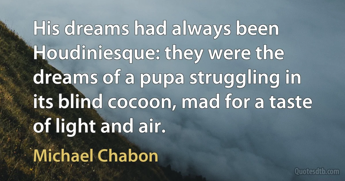 His dreams had always been Houdiniesque: they were the dreams of a pupa struggling in its blind cocoon, mad for a taste of light and air. (Michael Chabon)