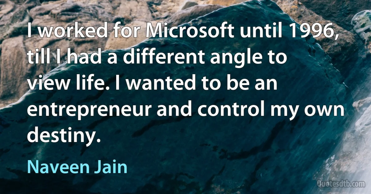 I worked for Microsoft until 1996, till I had a different angle to view life. I wanted to be an entrepreneur and control my own destiny. (Naveen Jain)