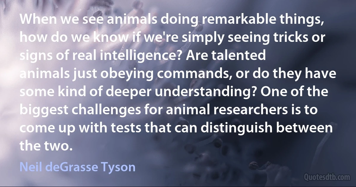 When we see animals doing remarkable things, how do we know if we're simply seeing tricks or signs of real intelligence? Are talented animals just obeying commands, or do they have some kind of deeper understanding? One of the biggest challenges for animal researchers is to come up with tests that can distinguish between the two. (Neil deGrasse Tyson)