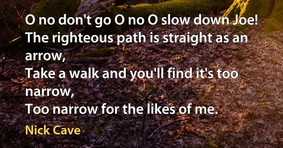 O no don't go O no O slow down Joe!
The righteous path is straight as an arrow,
Take a walk and you'll find it's too narrow,
Too narrow for the likes of me. (Nick Cave)