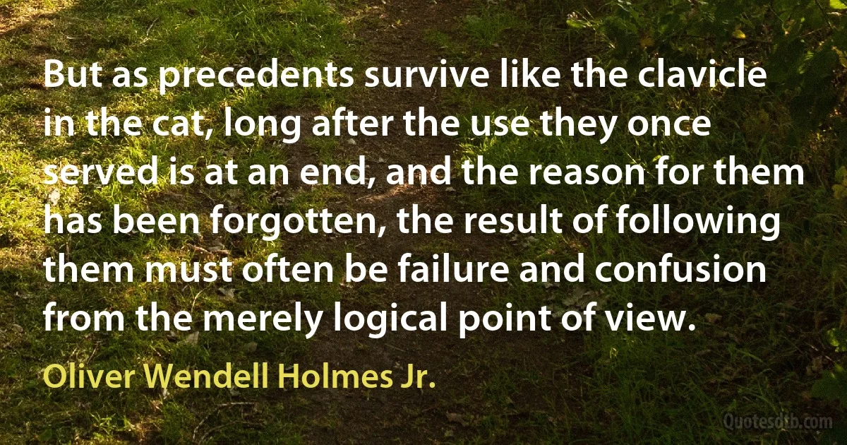 But as precedents survive like the clavicle in the cat, long after the use they once served is at an end, and the reason for them has been forgotten, the result of following them must often be failure and confusion from the merely logical point of view. (Oliver Wendell Holmes Jr.)