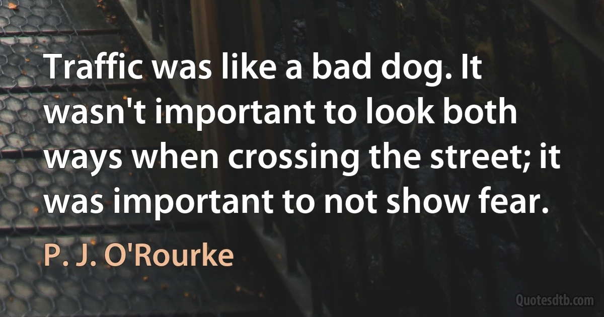 Traffic was like a bad dog. It wasn't important to look both ways when crossing the street; it was important to not show fear. (P. J. O'Rourke)