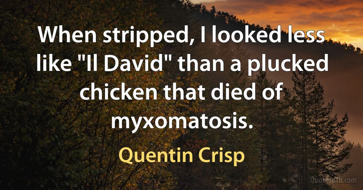 When stripped, I looked less like "Il David" than a plucked chicken that died of myxomatosis. (Quentin Crisp)