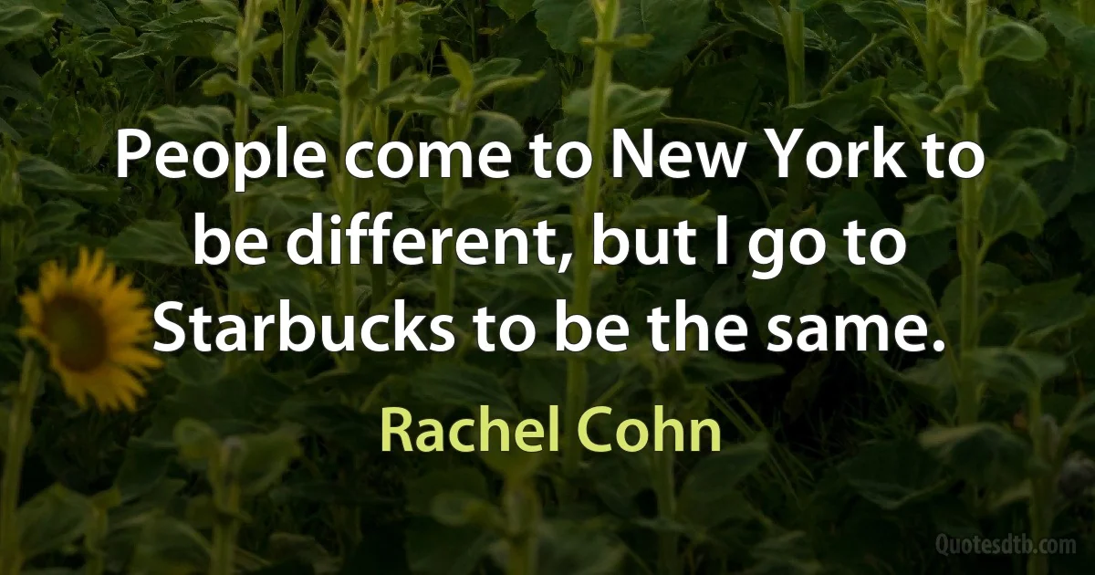 People come to New York to be different, but I go to Starbucks to be the same. (Rachel Cohn)