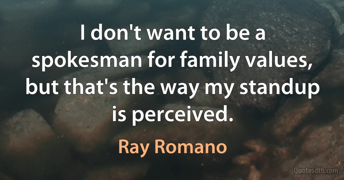 I don't want to be a spokesman for family values, but that's the way my standup is perceived. (Ray Romano)