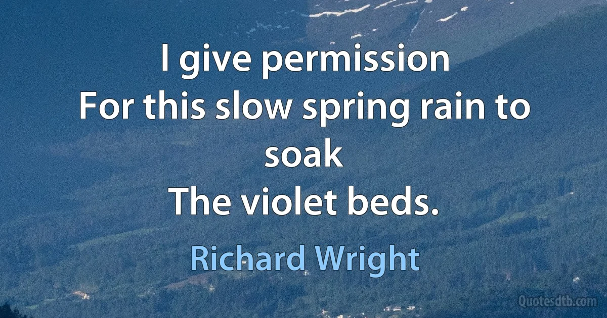 I give permission
For this slow spring rain to soak
The violet beds. (Richard Wright)