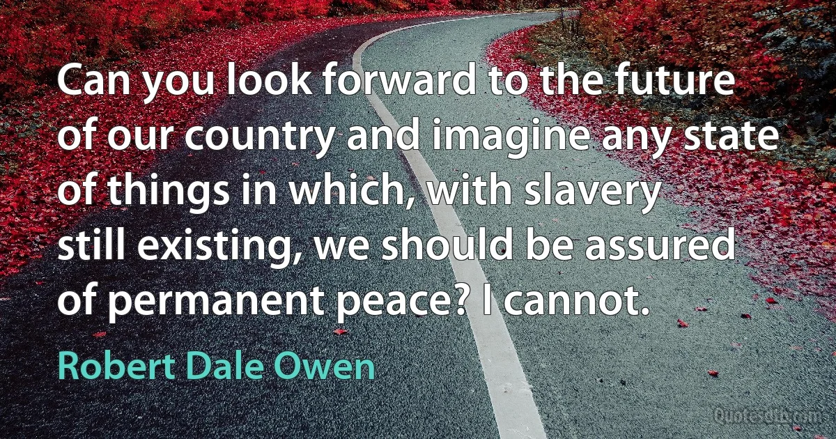 Can you look forward to the future of our country and imagine any state of things in which, with slavery still existing, we should be assured of permanent peace? I cannot. (Robert Dale Owen)