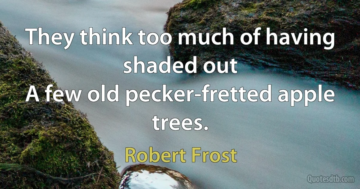 They think too much of having shaded out
A few old pecker-fretted apple trees. (Robert Frost)