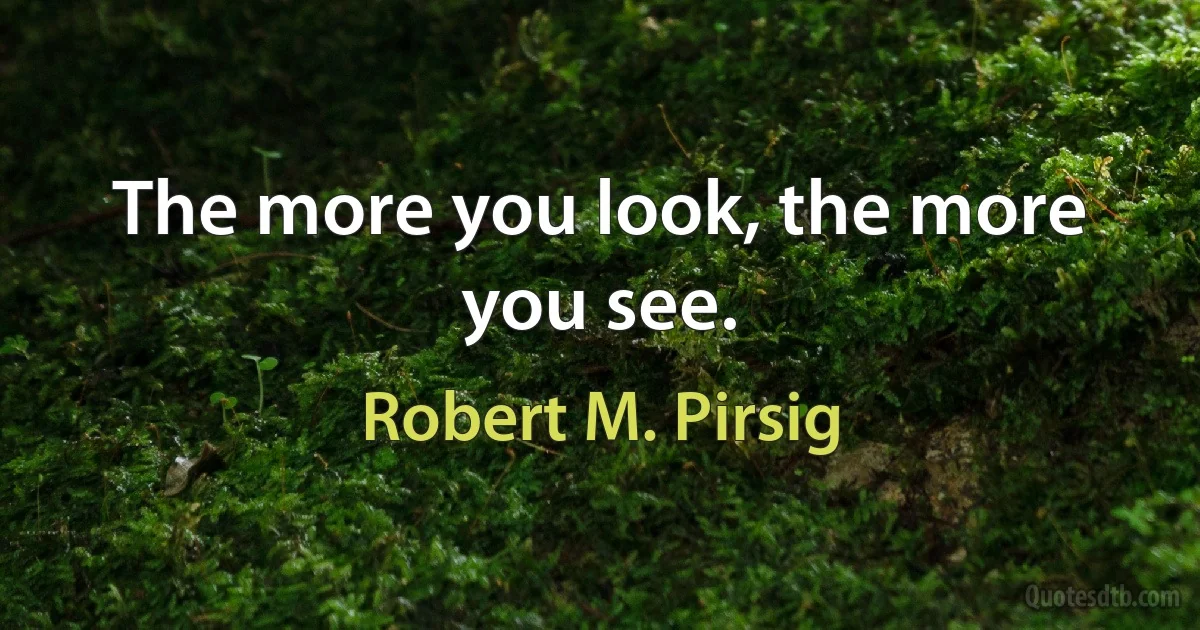 The more you look, the more you see. (Robert M. Pirsig)