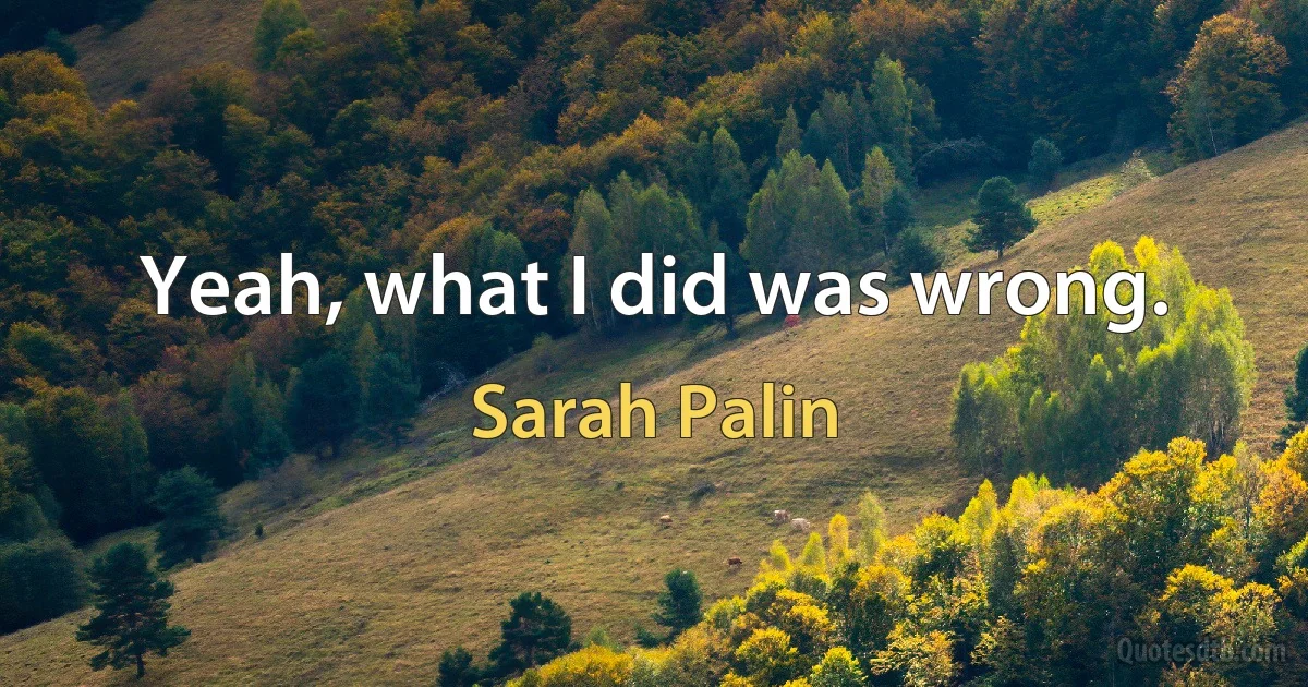 Yeah, what I did was wrong. (Sarah Palin)