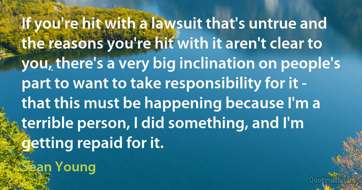 If you're hit with a lawsuit that's untrue and the reasons you're hit with it aren't clear to you, there's a very big inclination on people's part to want to take responsibility for it - that this must be happening because I'm a terrible person, I did something, and I'm getting repaid for it. (Sean Young)