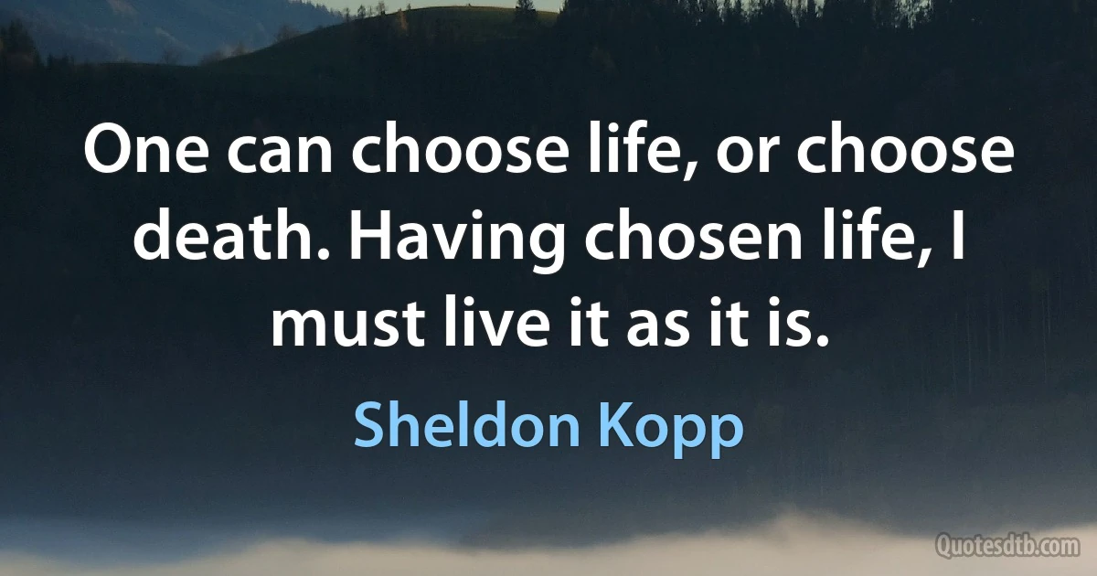 One can choose life, or choose death. Having chosen life, I must live it as it is. (Sheldon Kopp)