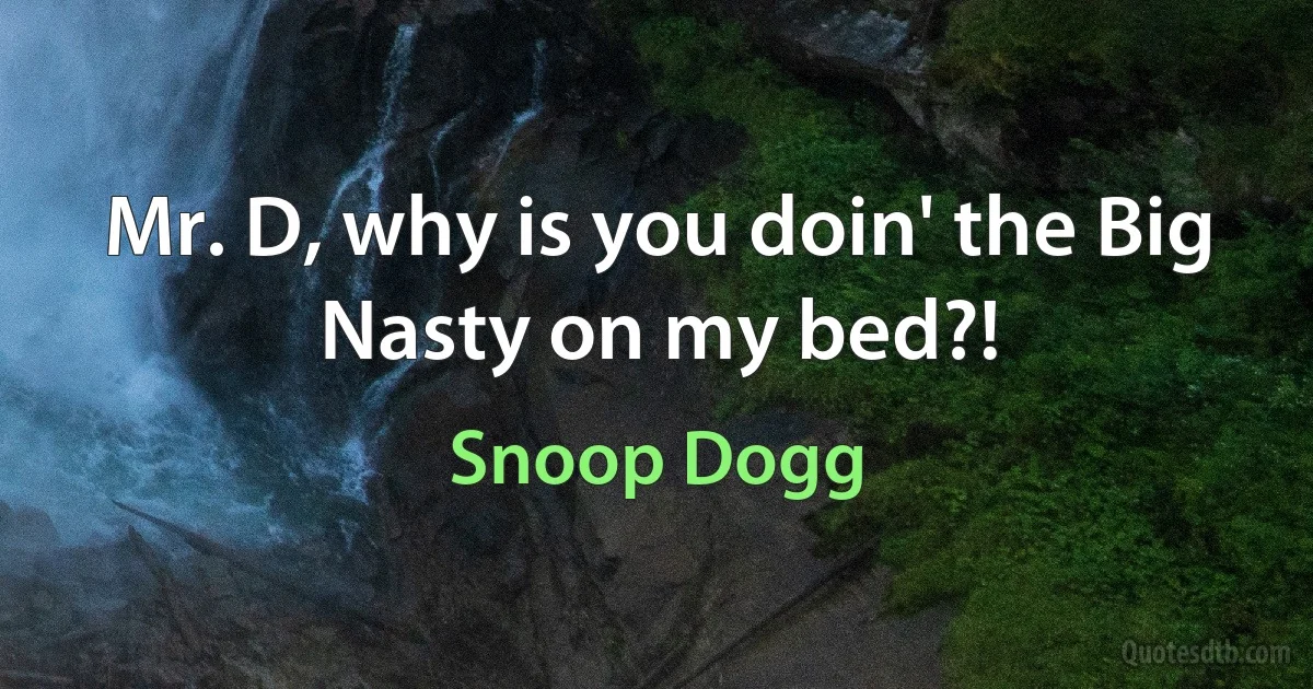 Mr. D, why is you doin' the Big Nasty on my bed?! (Snoop Dogg)