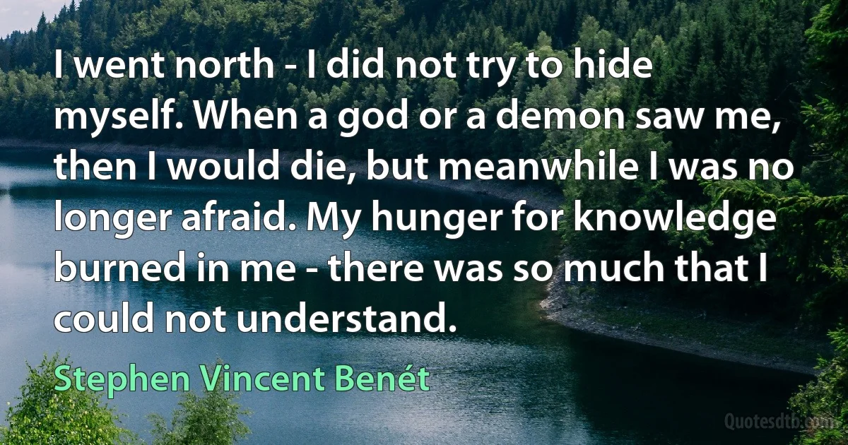 I went north - I did not try to hide myself. When a god or a demon saw me, then I would die, but meanwhile I was no longer afraid. My hunger for knowledge burned in me - there was so much that I could not understand. (Stephen Vincent Benét)