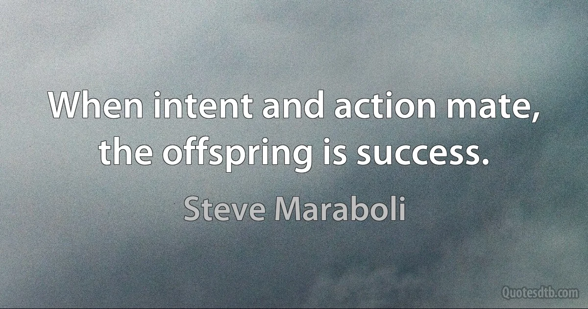 When intent and action mate, the offspring is success. (Steve Maraboli)