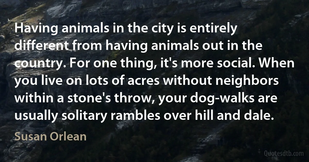 Having animals in the city is entirely different from having animals out in the country. For one thing, it's more social. When you live on lots of acres without neighbors within a stone's throw, your dog-walks are usually solitary rambles over hill and dale. (Susan Orlean)