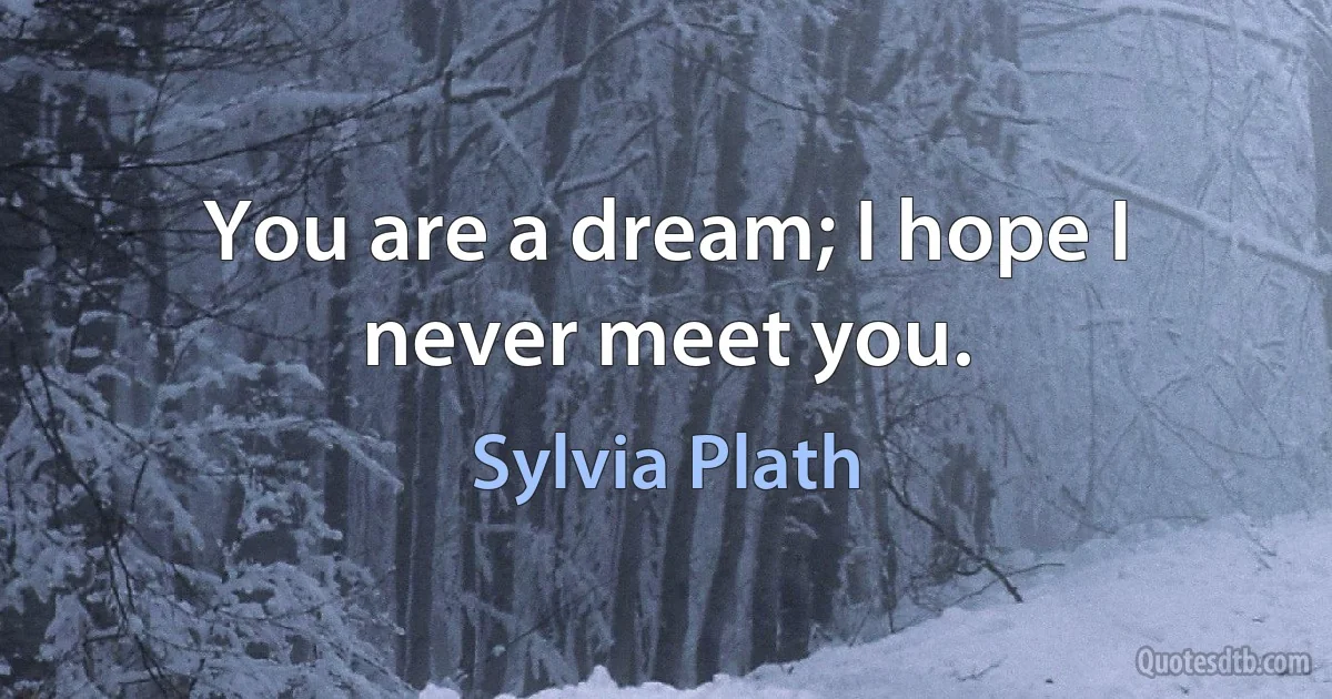 You are a dream; I hope I never meet you. (Sylvia Plath)